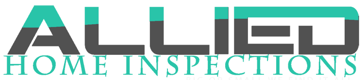 EZ Home Inspection Websites Style 10
